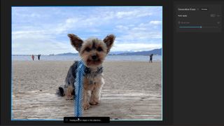 Windows 11, fotoğraflar için Android'in AI destekli 'Sihirli Silgi' özelliğinin kendi sürümüne ekliyor