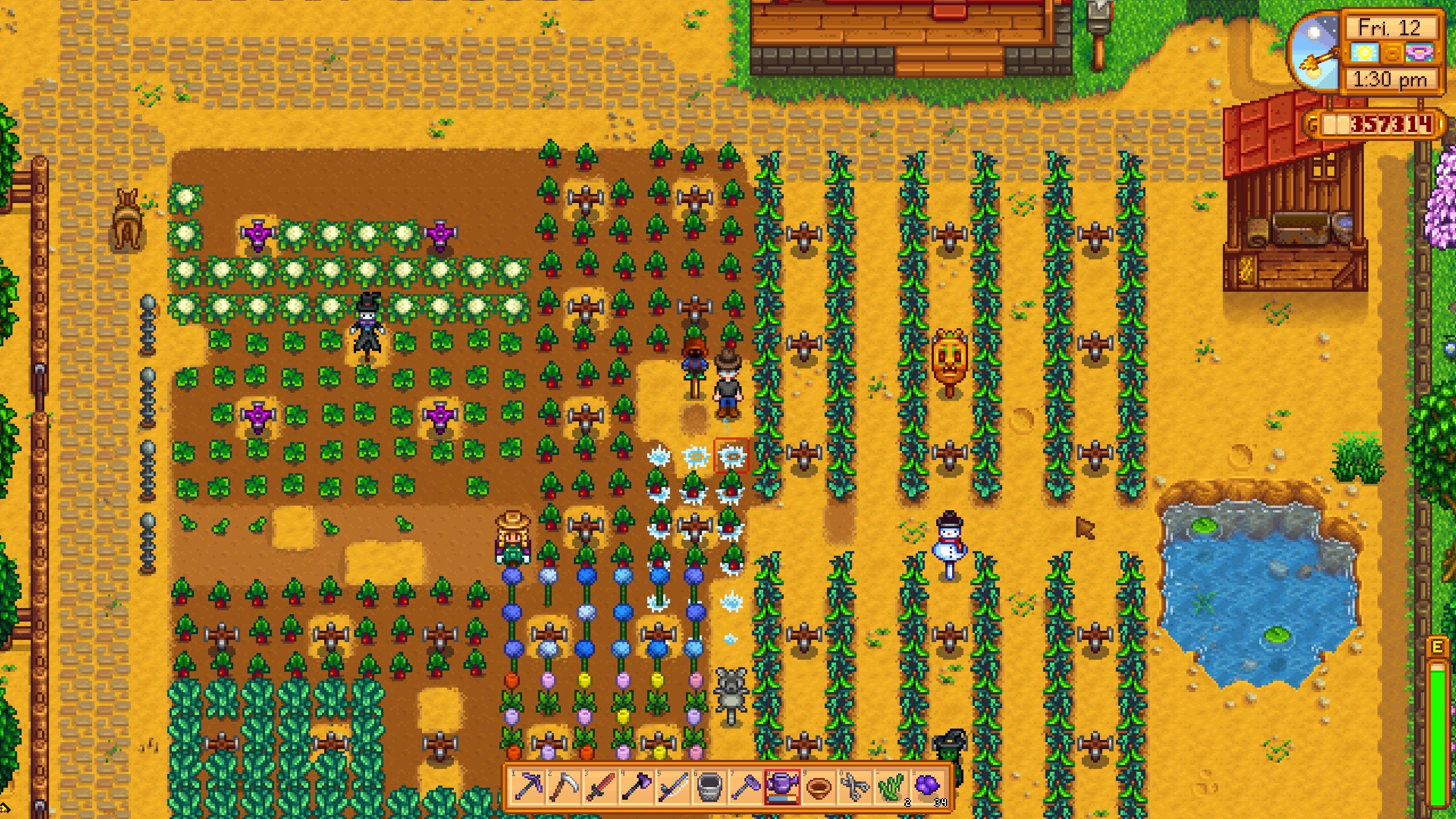 Bol miktarda mahsulün yetiştiği Stardew Vadisi tarlası